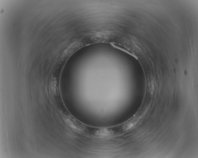 X0000074940231200609011124