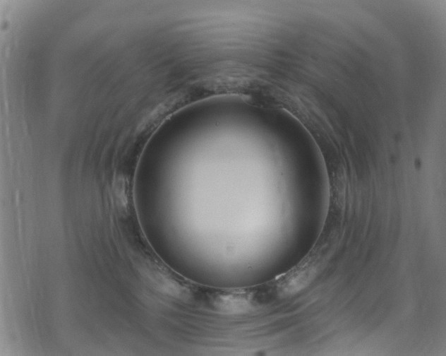 X0000074940232200609011124