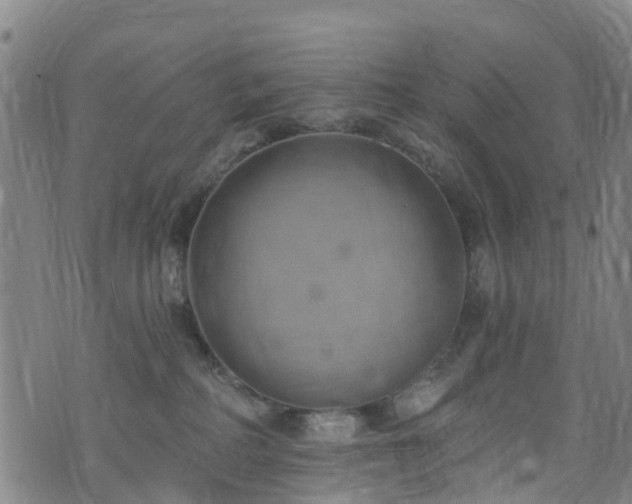 X0000074940234200609011124