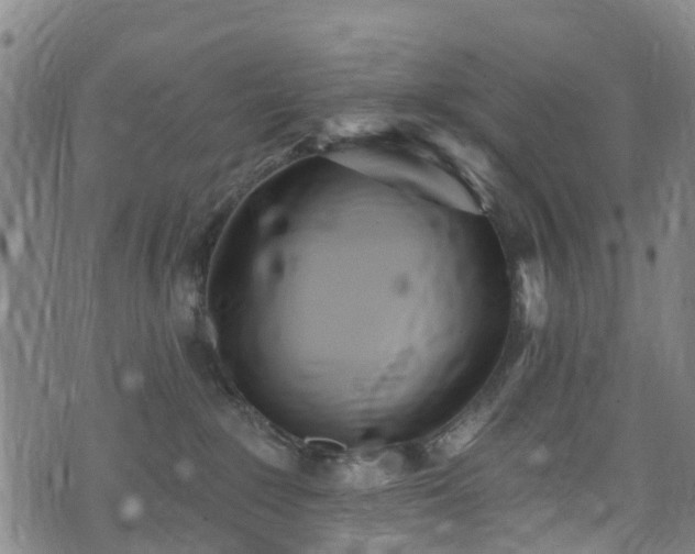 X0000074940235200609011123