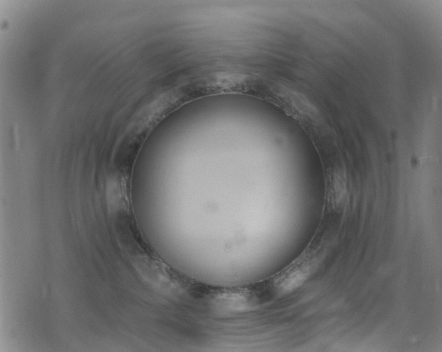 X0000074940236200609011123