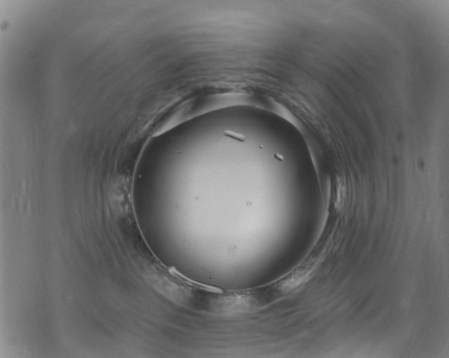 X0000074940237200609011123