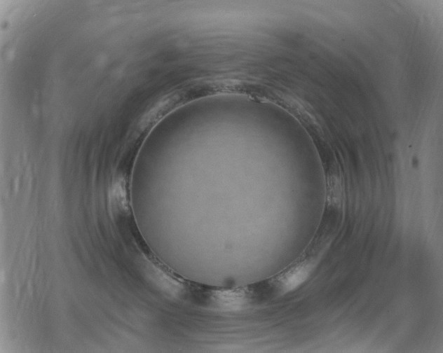 X0000074940238200609011123