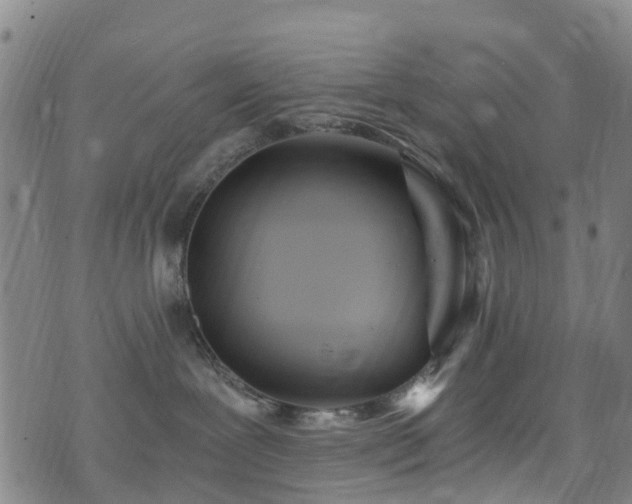 X0000074940239200609011123