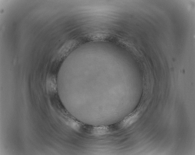 X0000074940240200609011123