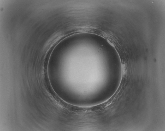 X0000074940243200609011123