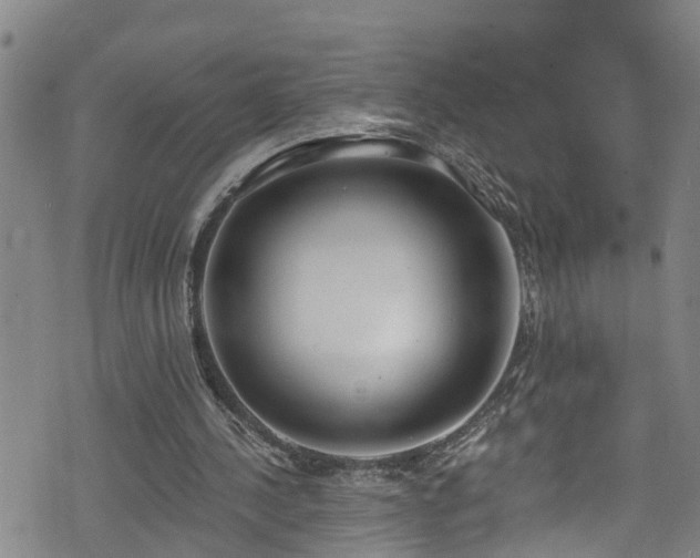 X0000074940244200609011123