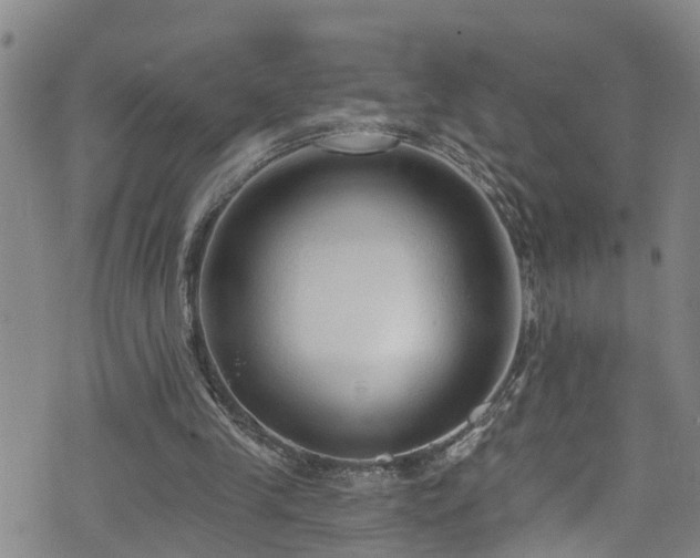 X0000074940245200609011123