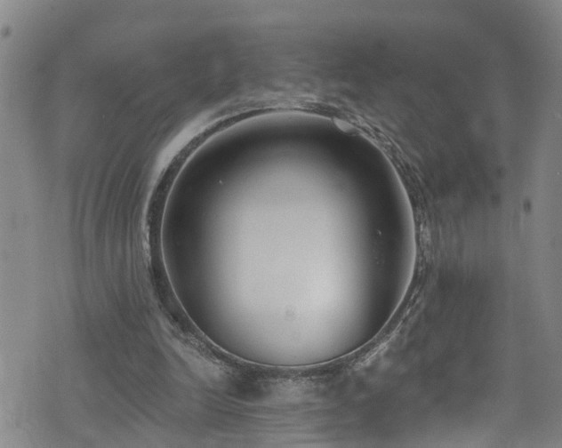 X0000074940246200609011123