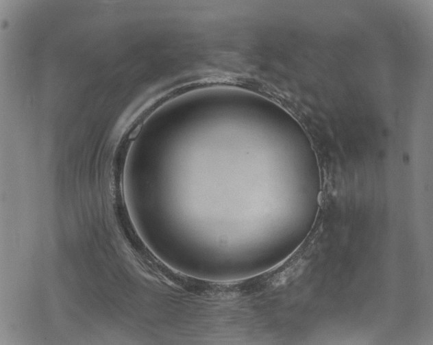 X0000074940247200609011123