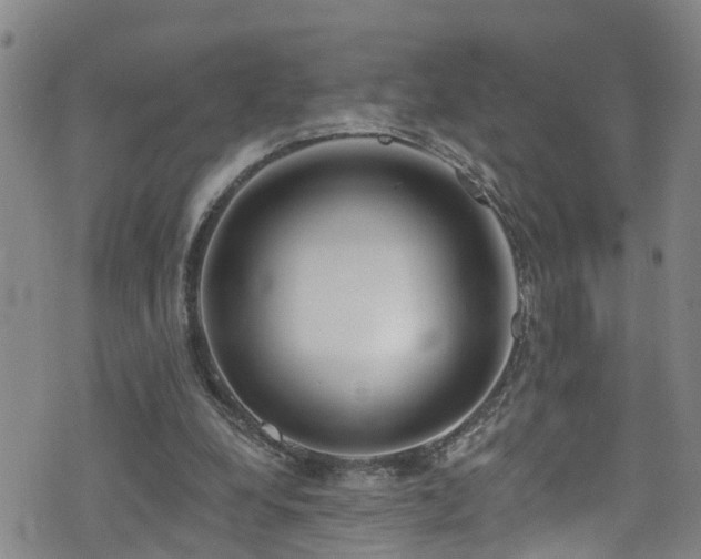 X0000074940248200609011123