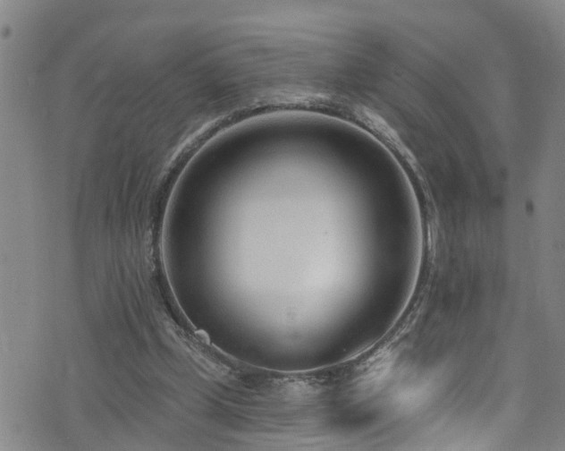 X0000074940249200609011123