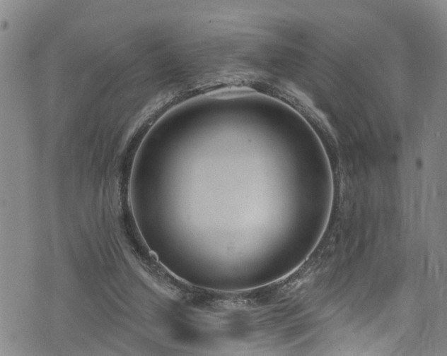 X0000074940250200609011123