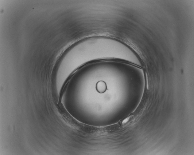 X0000074940252200609011123