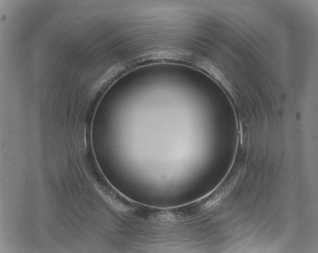 X0000074940253200609011123