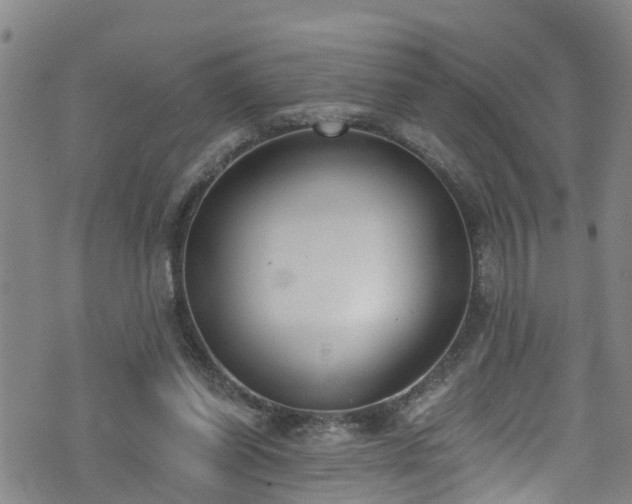 X0000074940254200609011123