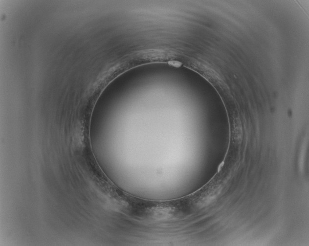 X0000074940255200609011123