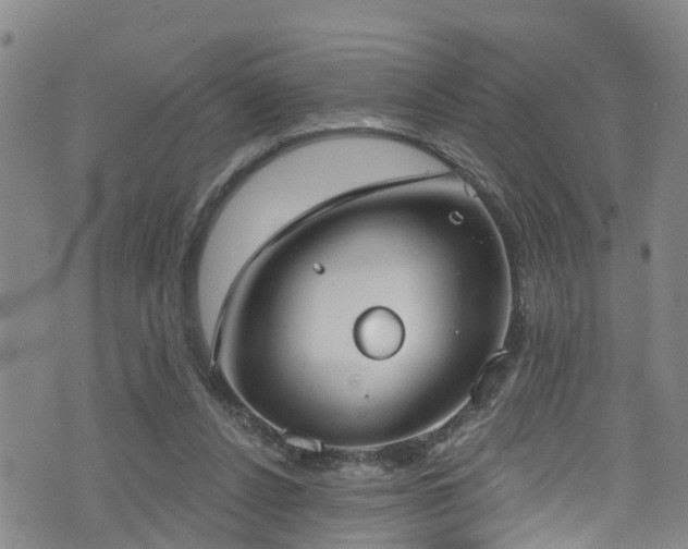 X0000074940256200609011123