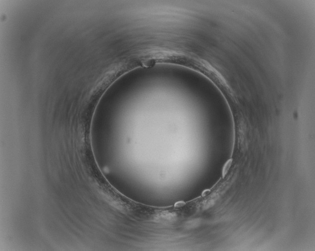 X0000074940257200609011123