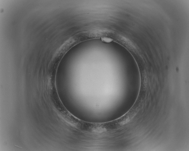 X0000074940258200609011123