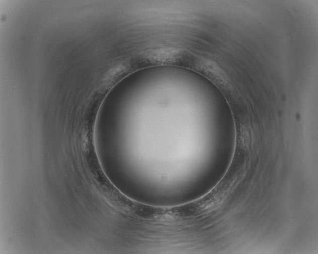 X0000074940259200609011123