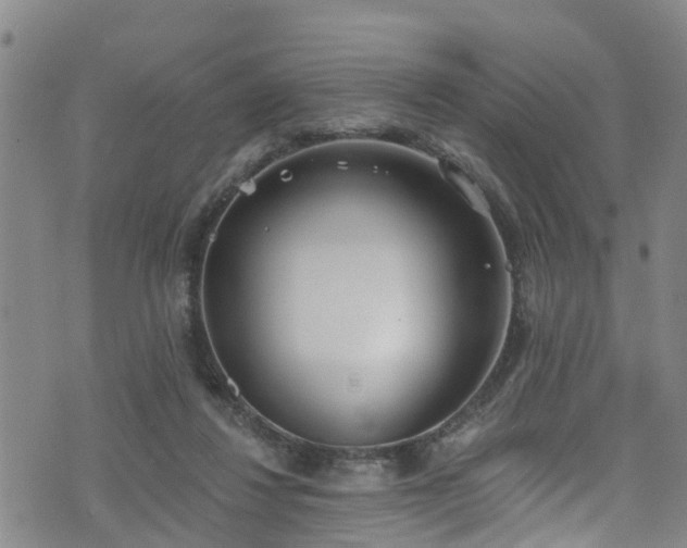 X0000074940260200609011123