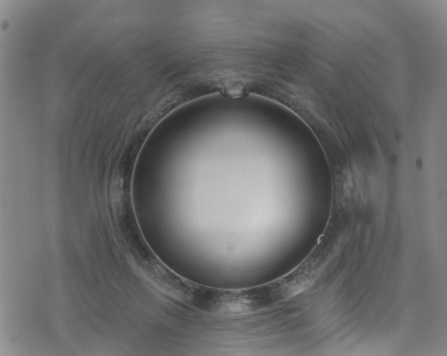 X0000074940263200609011123