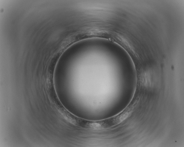 X0000074940265200609011123