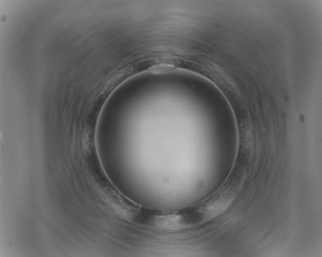 X0000074940266200609011123