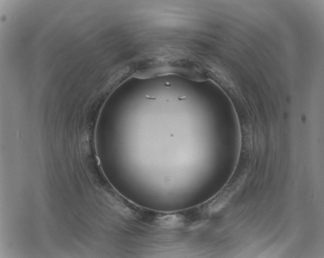 X0000074940269200609011123