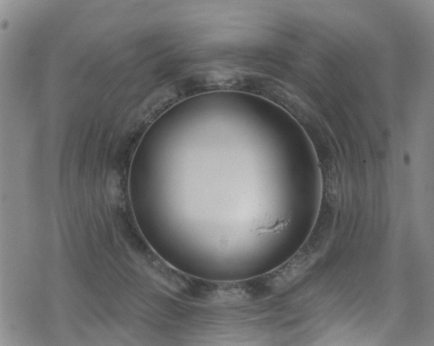 X0000074940270200609011123