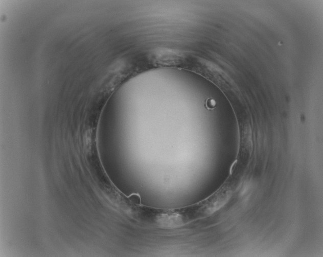 X0000074940271200609011123