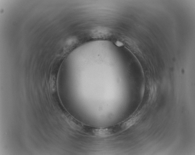 X0000074940273200609011123