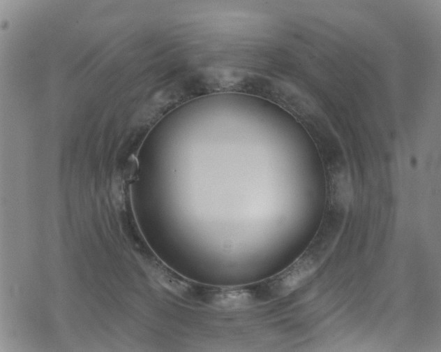 X0000074940274200609011123