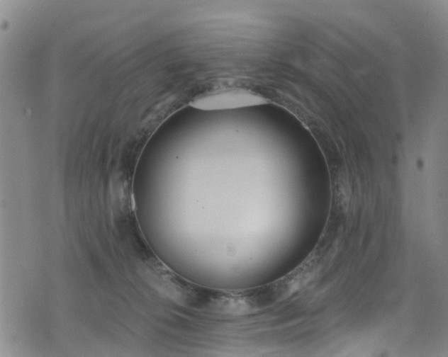 X0000074940276200609011123