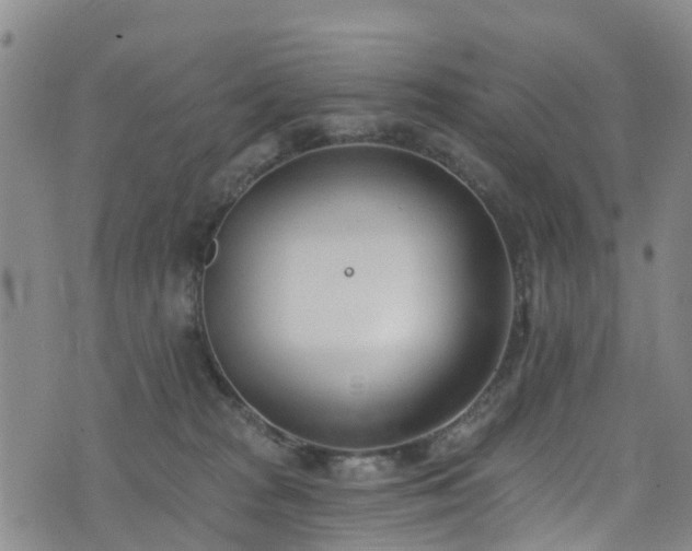 X0000074940277200609011123