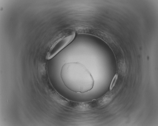 X0000074940278200609011123