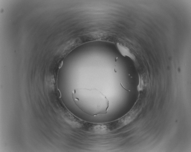 X0000074940279200609011123