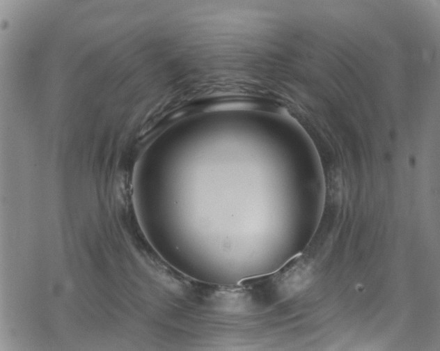 X0000074940280200609011123