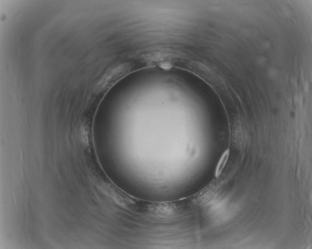 X0000074940282200609011123