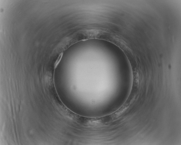 X0000074940283200609011123