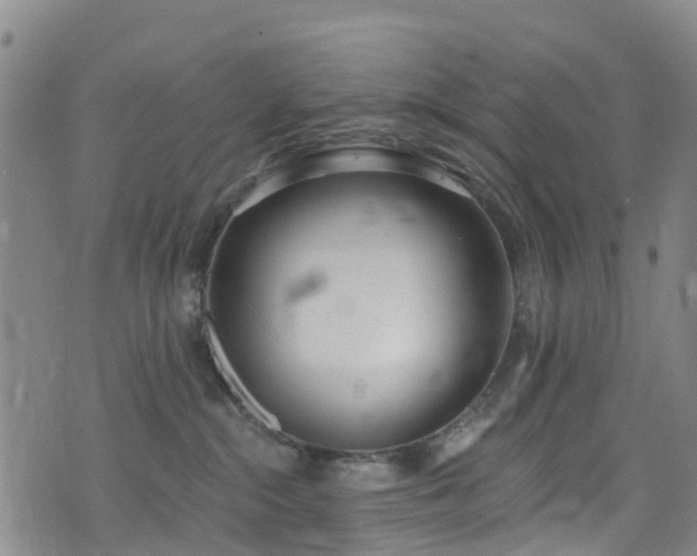 X0000074940284200609011123