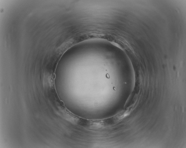 X0000074940285200609011123