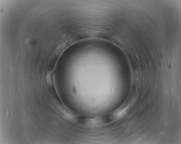 X0000074940286200609011123