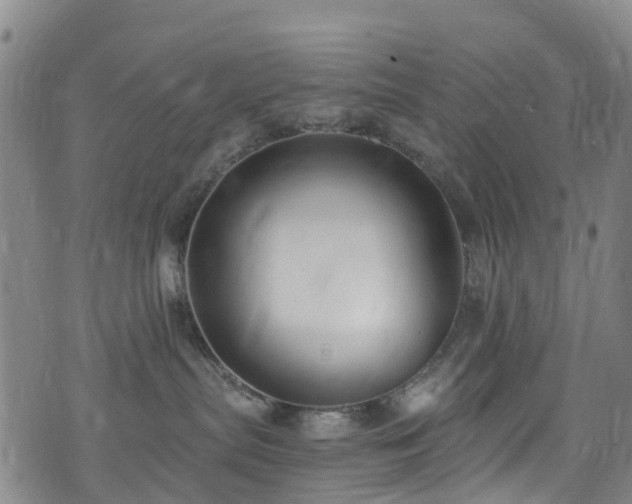 X0000074940287200609011123