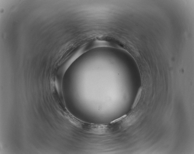 X0000074940288200609011123