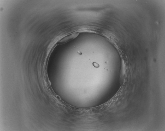 X0000074940289200609011123