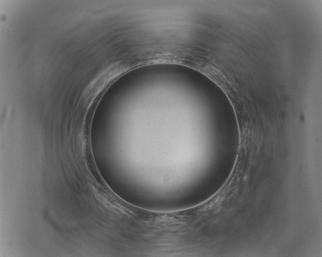 X0000074940290200609011123