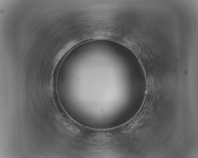 X0000074940292200609011123