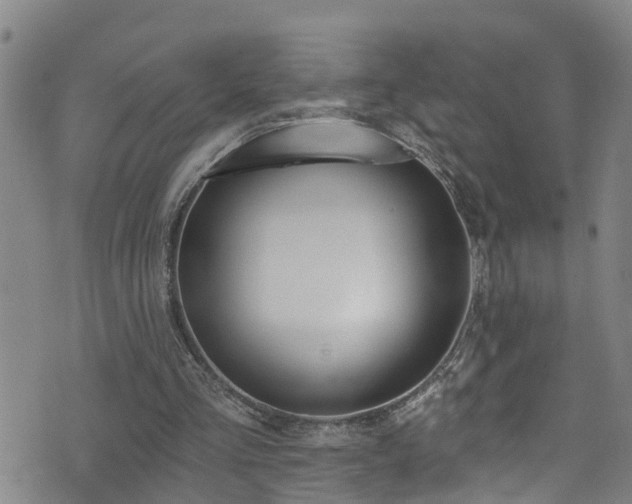 X0000074940293200609011123